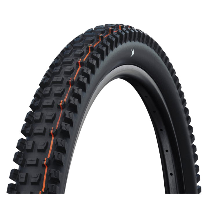 Schwalbe Albert Gravity Pro Tubeless Ready MTB Tire Addix Soft Black 29"